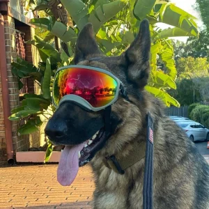 Dog Goggles Anti-UV Sunglasses – Windproof Protective Eyewear with Adjustable Strap for Pet Travel & Outdoor Activities
